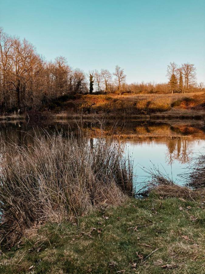 La Ferme Du Pont De Maumy, Cabane Au Bord De L'Etang Et Bain Nordique Busserolles Eksteriør bilde