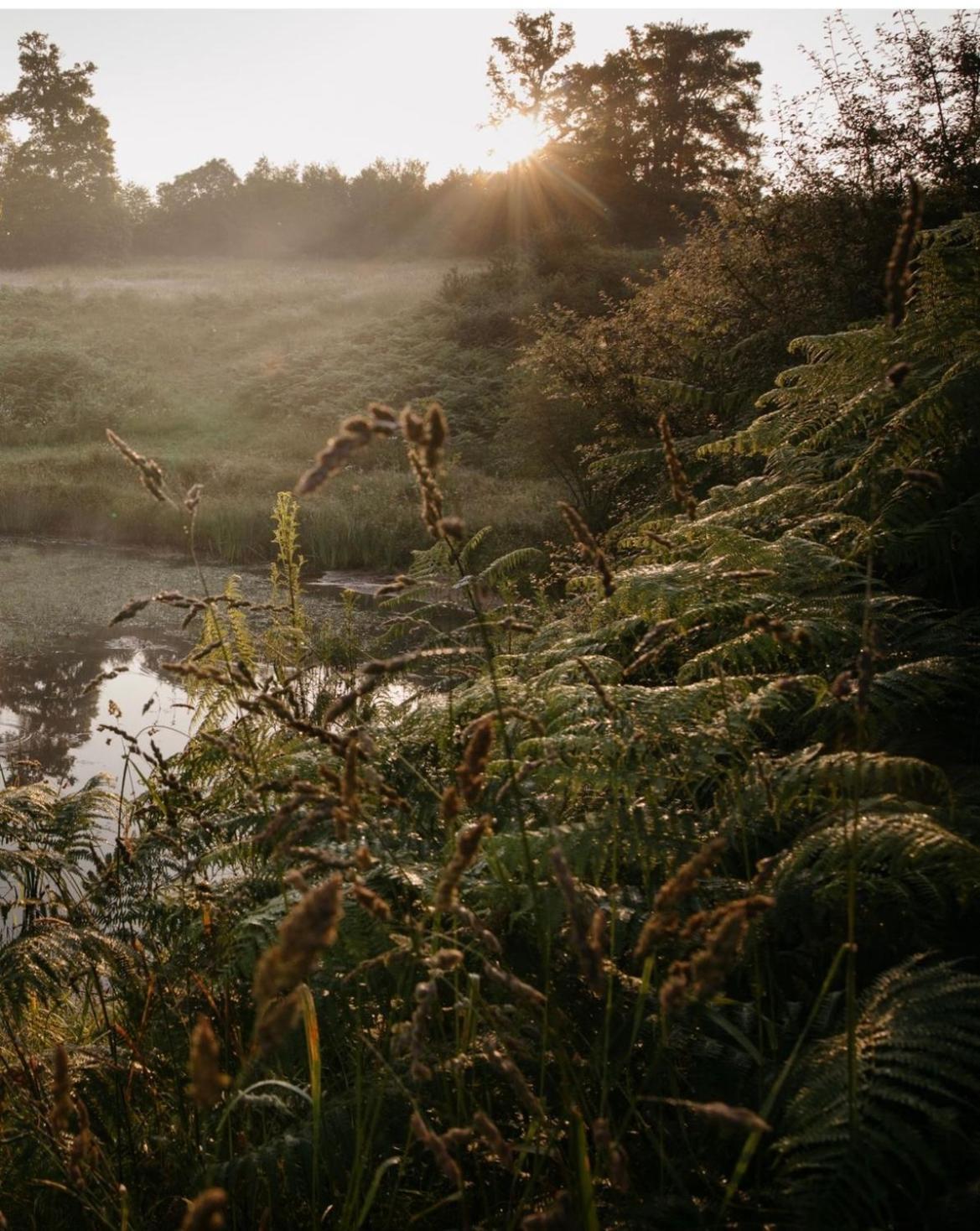 La Ferme Du Pont De Maumy, Cabane Au Bord De L'Etang Et Bain Nordique Busserolles Eksteriør bilde