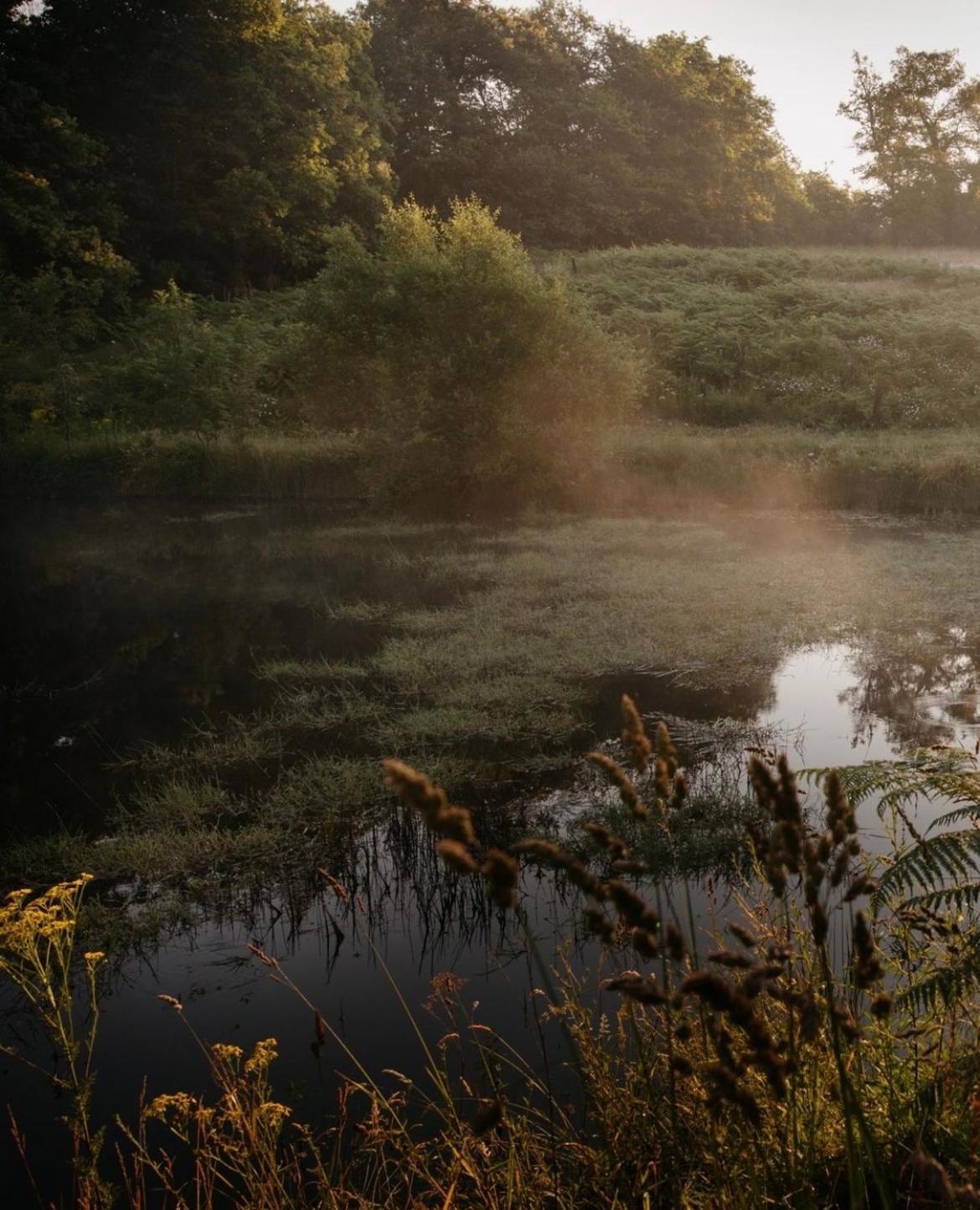La Ferme Du Pont De Maumy, Cabane Au Bord De L'Etang Et Bain Nordique Busserolles Eksteriør bilde